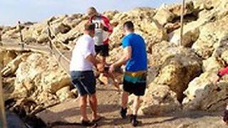 צבת ים חומה נמצאה פצועה באורח קשה מול חופי נהריה