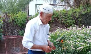 רחמים