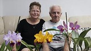 משפחת חזן