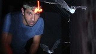 פרופ' יוסי יובל וחברים
