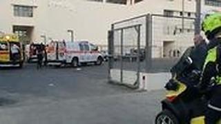 זירת הקטטה