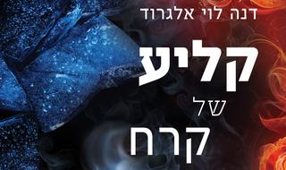 עטיפת הספר קליע של קרח
