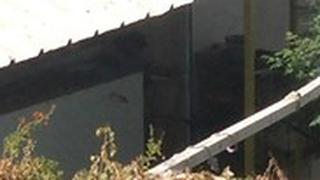 תיעוד: גננת תוקפת ילד בן 5 בגן ילדים בנהריה