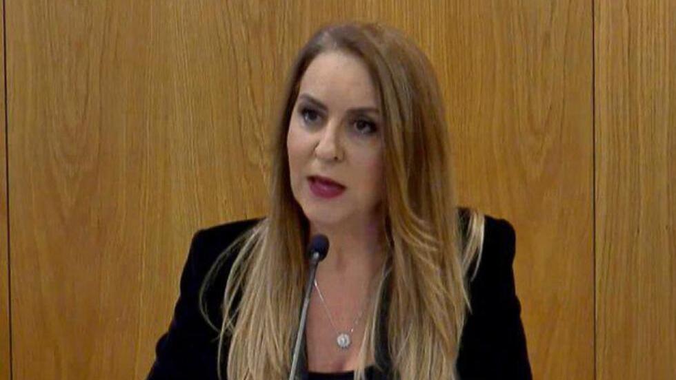 "לא פרק זמן סביר לבחירות". אורלי עדס (צילום: ערוץ הכנסת) אורלי עדס, מנכ"לית ועדת הבחירות