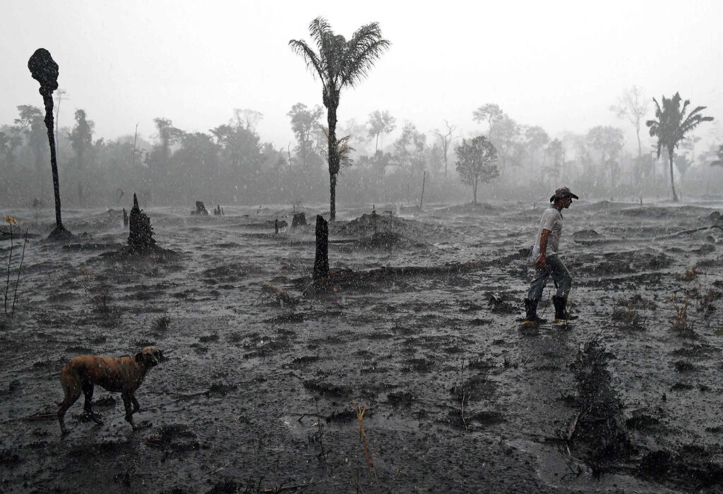 תמונות השנה AFP אזור שרוף אמזונס ברזיל מדינת רונדוניה 