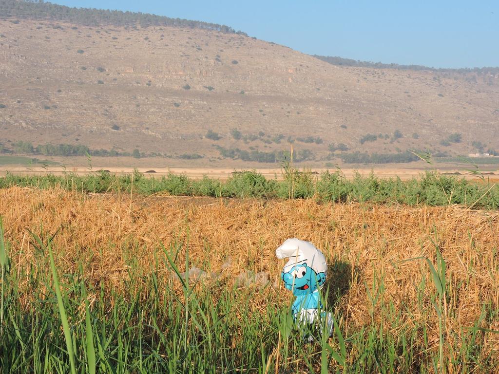 סופו של כל בלון ללכלך את הטבע (אביחי רן) סופו של כל בלון ללכלך את הטבע