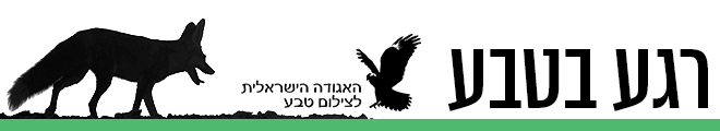 רגע בטבע (צילום: חן עין דור) רגע בטבע