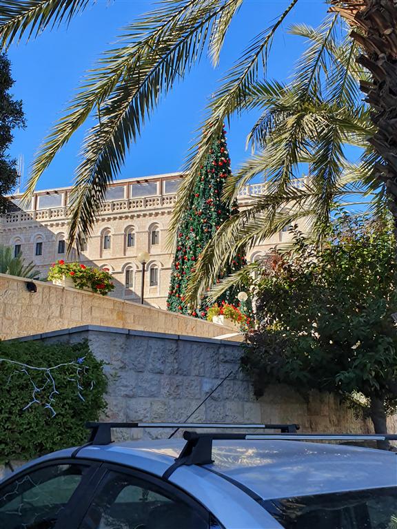 A Christmas tree towering at the Notre Dame of Jerusalem Center (Photo: Iris Lifshitz Kliger) A Christmas tree towering at the Notre Dame of Jerusalem Center