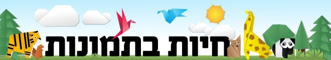 חיות בתמונות (shutterstock) חיות בתמונות