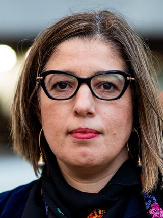 מייסם ג'לג'ולי, יו"ר נעמת במרחב משולש דרומי