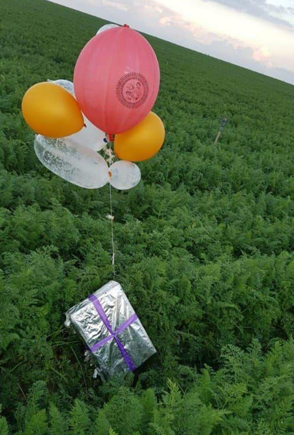 Object wrapped in gift wrap tied to several balloons, suspected to be an explosive device, landing on Israel territory