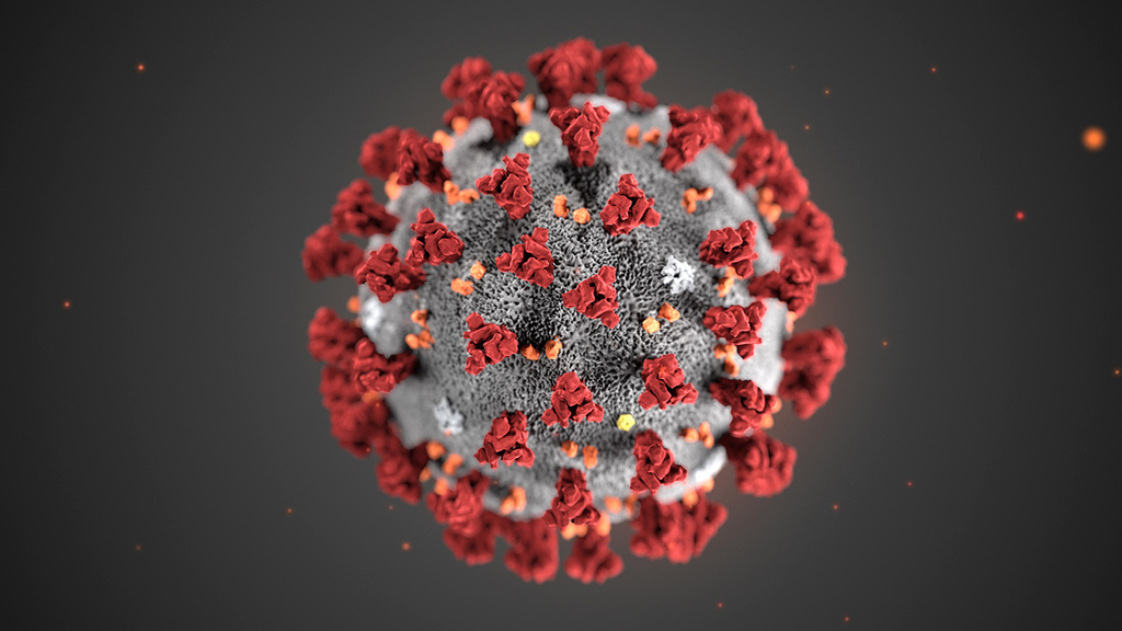 הדמייה של ה CDC של וירוס נגיף קורונה