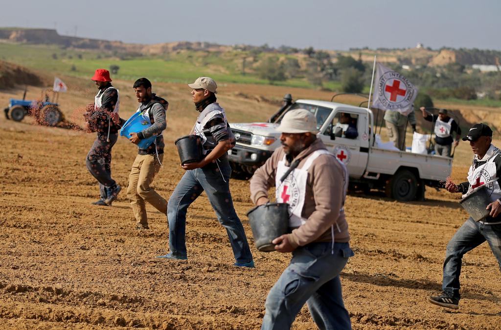 Palestinian farmers, helped by the International Committee of the Red Cross (ICRC), throw wheat seeds as they plant a field near the Israel Gaza border (Photo: Reuters) Palestinian farmers along the Israel-Gaza border