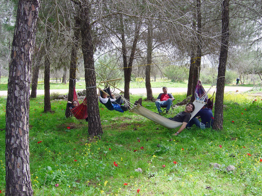 מטיילים בין כלניות ביער בית קשת (צילום: מיכאל חורי, ארכיון הצילומים של קק"ל) מטיילים בין כלניות ביער בית קשת