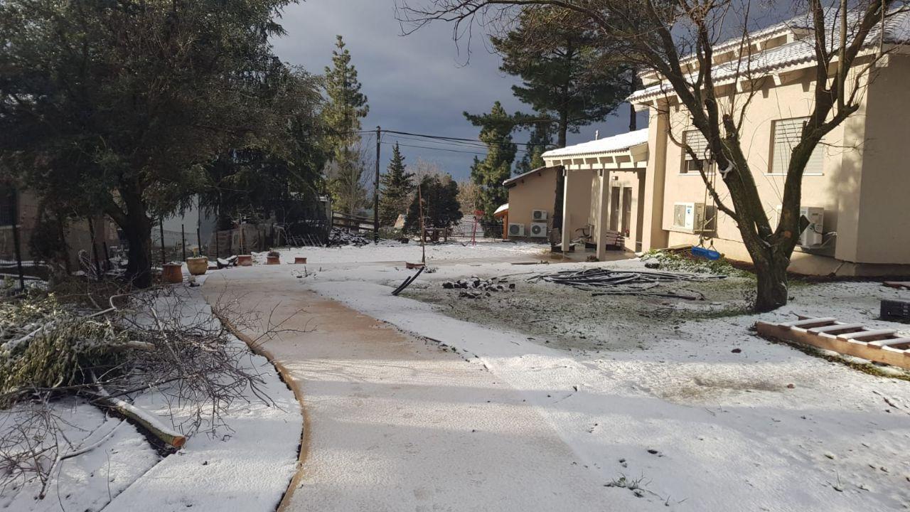 Snow in Moshav Odem (Photo: Reut Tal Levy) שלג במושב אודם