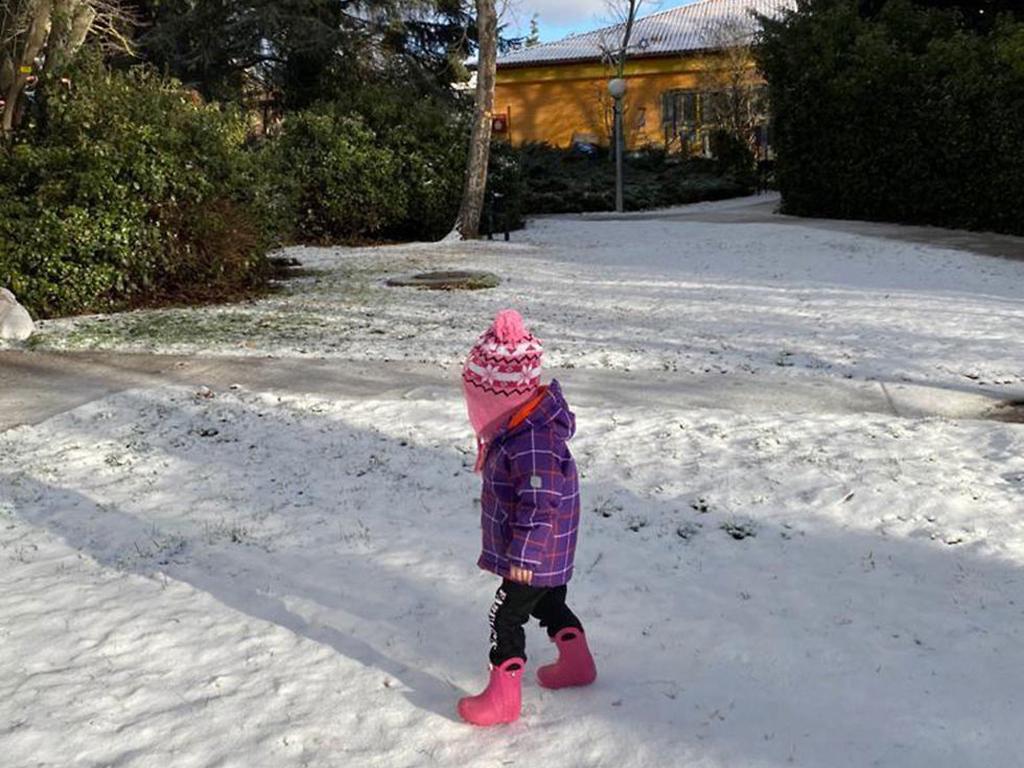 Snow in Kibbutz El Rom in Golan (Photo: Eilat Yair) שלג באל רום