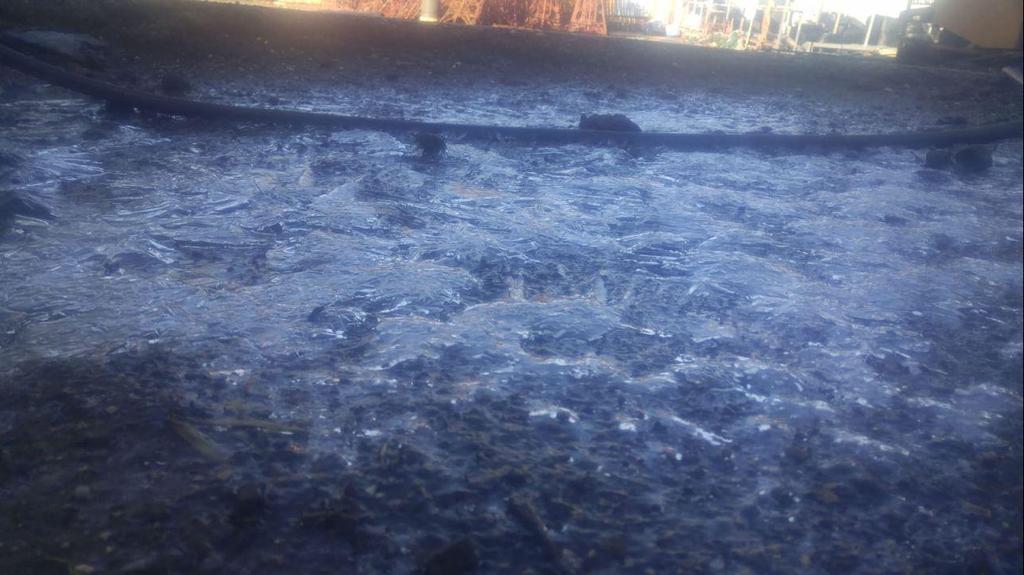 Ice in Ein Zivan, in northern Golan Heights (Photo: Hagai Dreilinger) קרח עין זיוון
