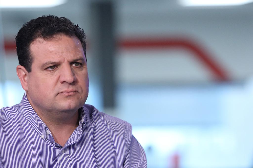 "הביקורת מוצדקת". איימן עודה (צילום: אבי מועלם) איימן עודה
