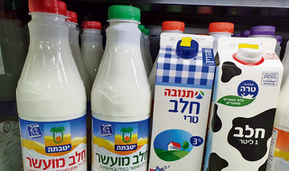 חלב תנובה חלב מועשר