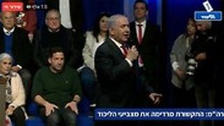 אסתר סטיב