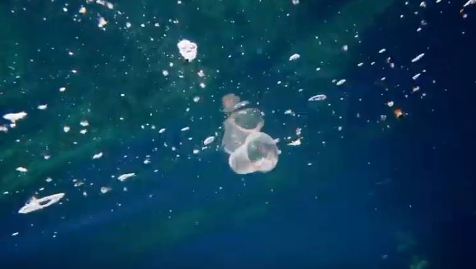 Plastic particles in the sea 