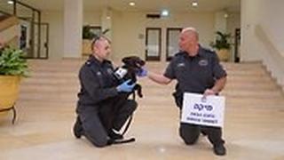 מיקה ואנשי משמר הכנסת