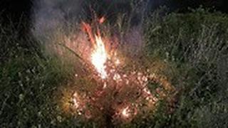 הושלכו בקבוקי תבערה לערב רכב של משמר הגבול ביצהר