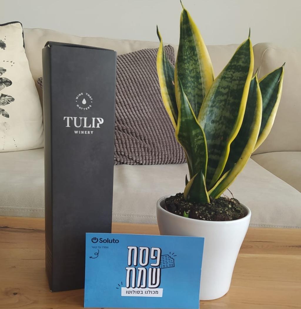 מתנה להורים של העובדים. המארז של סלוטו (סולוטו) מארז סולוטו לעובדים