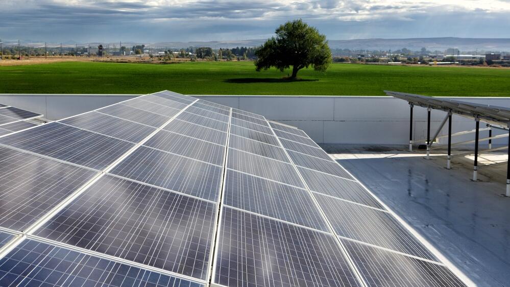 Solar panels (Photo: Shutterstock) אנרגיה פוטו וולטאית