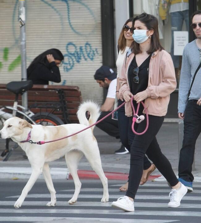נראה מה יהיה עם אמיר (צילום: מוטי לבטון) נראה מה יהיה עם אמיר