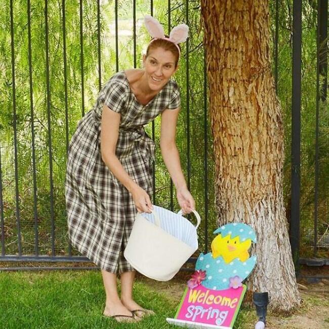הרווחת את הלייק שלנו (צילום: אינסטגרם) הרווחת את הלייק שלנו