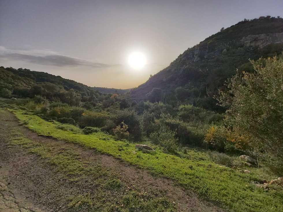 ערוץ נחל אורן בכרמל (צילום: מוסא קוסייני, רשות הטבע והגנים) ערוץ נחל אורן בכרמל