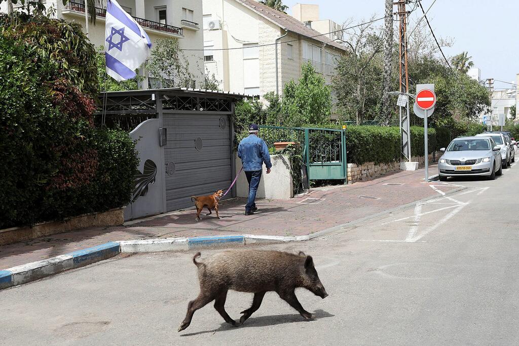 צילום: EPA