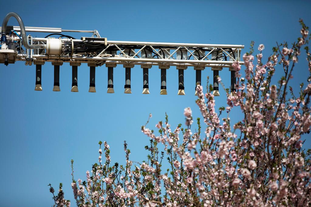 Small cannons that shoot pollen (Photo: Reuters) Small cannons that shoot pollen