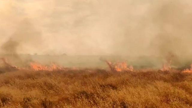 שריפת קוצים סמוך לכביש 325  ליד באר שבע