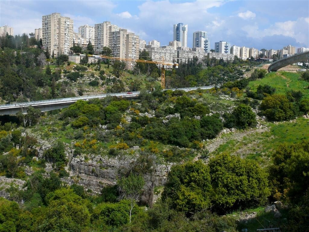 נחל גיבורים בחיפה (צילום: יחידת סקרי טבע עירוני, החברה להגנת הטבע) נחל גיבורים בחיפה