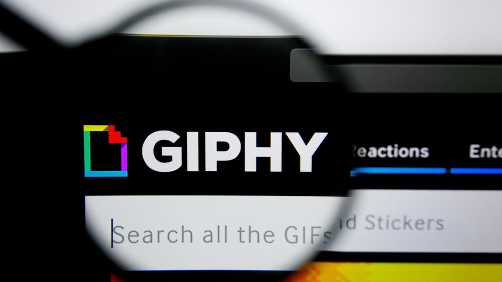 GIPHY (צילום: shutterstock) GIPHY