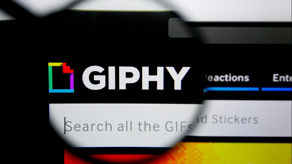 GIPHY (צילום: shutterstock) GIPHY
