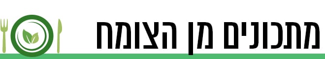  660 דניאלה עדשים שמחות