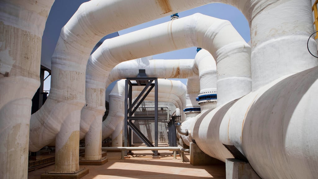 Israeli water desalinization plant that has come under Iranian cyberattack in May 2020 (Photo: AP) מתקן התפלת מים שורק פלמחים מתקפת סייבר איראנית