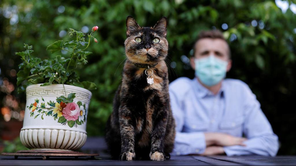 Papille the cat with her owner (Photo: Reuters) צרפת ה חתולה פאפי שרדה את נגיף ה קורונה