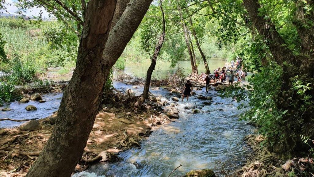 שמורת נחל שניר. הפארקים והגנים ייפתחו בשלב הראשון (צילום: אתי קריספל, רשות הטבע והגנים) מטיילים בנחל שניר בחג השבועות