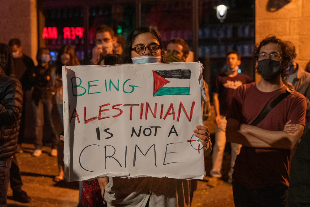 Israelis protest in Jerusalem following the killing of Iyad Halak by a police officer (Photo: Shalev Shalom) ההפגנה בירושלים