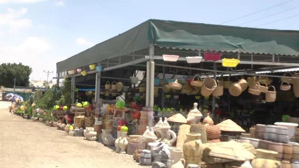 A nursery owned by a Palestinian in the Jordan Valley (Photo: Gil Yohanon ) הבקעה