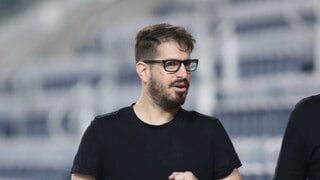 ולדימיר איביץ' 