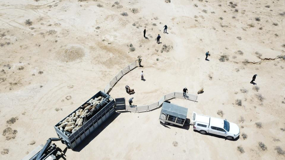 היעדר תקציב ייעודי לפינוי נפלים (צילום: דוברות המשטרה) מחוללי פשיעה בביר הדאג'