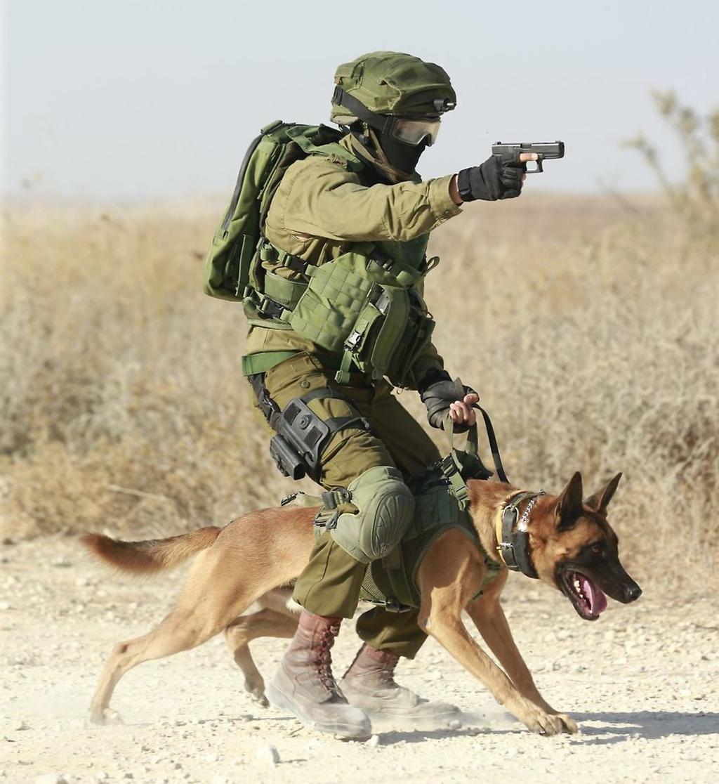 לוחם מיחידת הכלבנים מכוון אקדח ונמצא בפעולה עם הכלב שלו