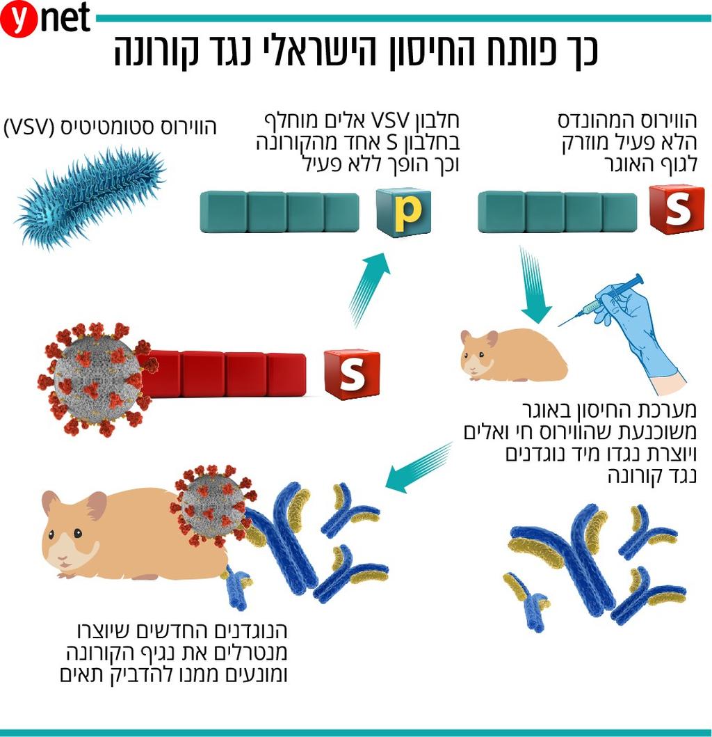 חסון המכון הביולוגי מתוקן