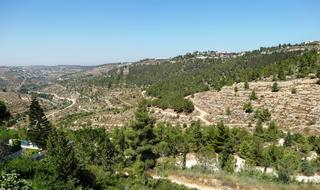 רכס לבן