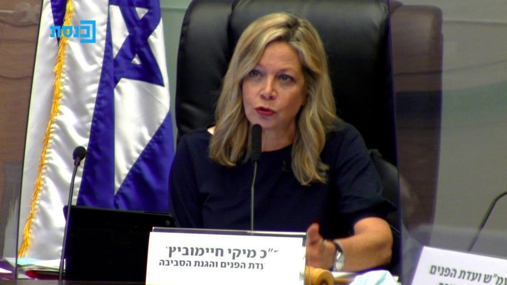 "התמונות לא פשוטות, המון סימני שאלה". יו"ר ועדת הפנים חיימוביץ' ( צילום: ערוץ הכנסת ) ועדת הפנים